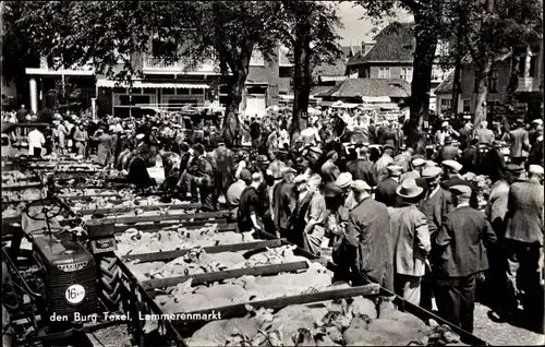 Ak Den Burg Texel Nordholland Niederlande, Schap en Lammerenmarkt