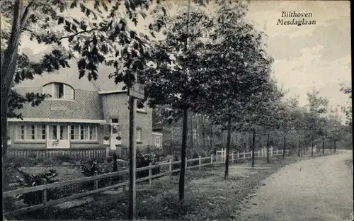 Ak Bilthoven De Bilt Utrecht Niederlande, Mesdaglaan