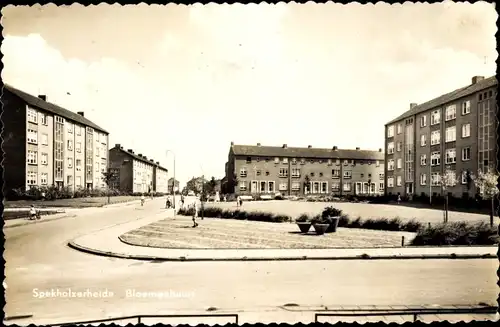 Ak Spekholzerheide Limburg Niederlande, Bloemenbuurt