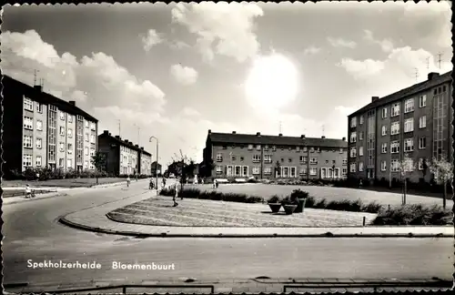 Ak Spekholzerheide Limburg Niederlande, Bloemenbuurt