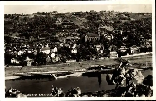 Ak Dieblich an der Mosel, Blick auf den Ort, Flusspartie, Kirche, Felder