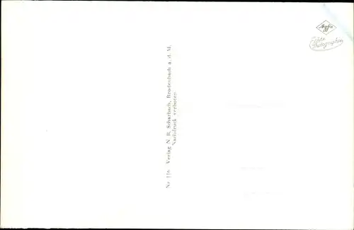 Ak Dieblich an der Mosel, Blick auf den Ort, Flusspartie, Kirche, Felder