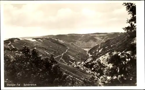 Ak Rheinböllen im Hunsrück, Steeger Tal, Schönblick