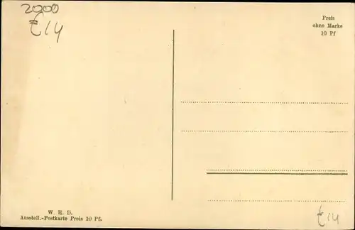 Ak Hamburg Mitte Altstadt, DLG 24. Wanderausstellung 2. - 7. Juni 1910, Pferde