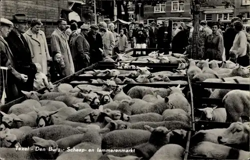 Ak Den Burg Texel Nordholland Niederlande, Schap en Lammerenmarkt