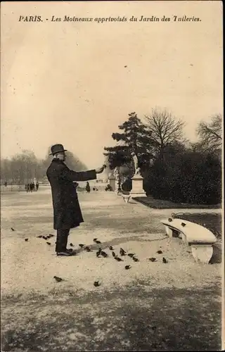 Ak Paris, Les Moineaux apprivoises du Jardin des Tuileries