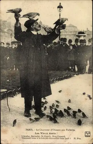 Ak Paris, Le Charmeur d'Oiseaux aux Tuileries, Le Vieux Amis