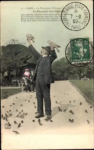 Ak Paris, Le Charmeur d'Oiseaux, Jardin des Tuileries, Le Banquet des Pigeons