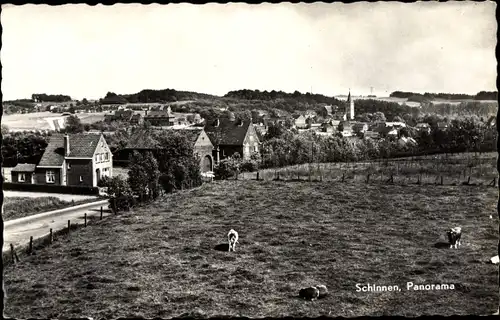 Ak Schinnen Limburg Niederlande, Blick auf den Ort, Rinder auf der Weide