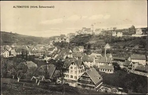 Ak Altensteig im Schwarzwald Württemberg, Gesamtansicht