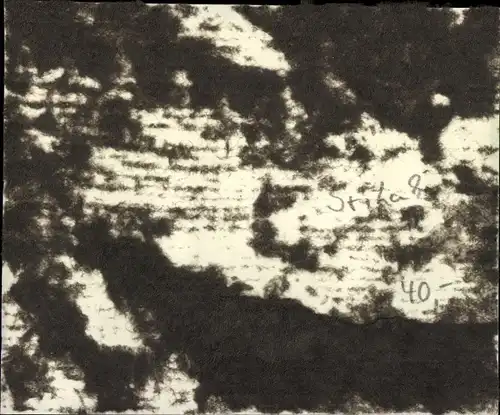 Foto Sri Lanka, Zwei Frauen, Mutter mit Säugling