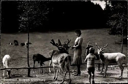 Ak Düsseldorf am Rhein, Wildpark Grafenberg