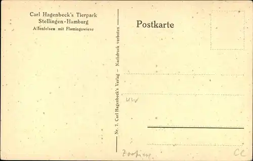 Ak Hamburg Eimsbüttel Stellingen, Carl Hagenbeck's Tierpark, Affenfelsen mit Flamingowiese