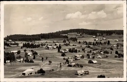 Ak Falkau Feldberg im Schwarzwald, Panorama