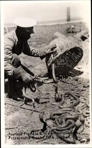 Foto Ak Durban Südafrika, Freddie and his poisonous pets, Fitzsimons Snake Park