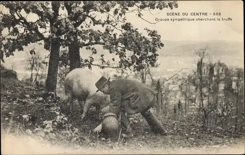 Ak Groupe sympathique cherchant la truffe, Trüffelschwein