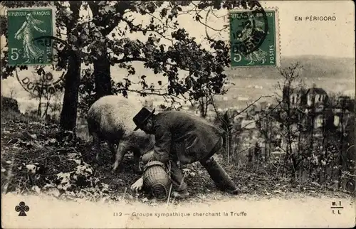 Ak Groupe sympathique cherchant la Truffe, Trüffelschwein, En Perigord