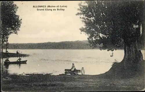 Ak Allonnes Maine et Loire, Grand Etang du Bellay