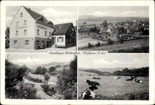 Ak Mülheim Blankenheim an der Ahr Eifel, Gasthaus zum Bahnhof, Totalansicht, Rinder