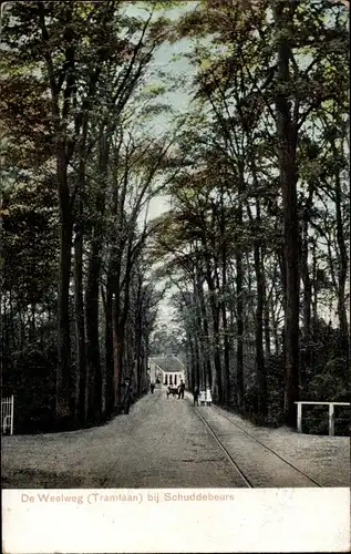 Ak Schuddebeurs Schouwen Duiveland Zeeland, de Weelweg, Tramlaan