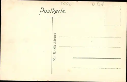 Ak Schierke Wernigerode am Harz, Viehtrieb durch den Ort