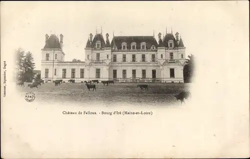 Ak Bourg-d'Ire Maine et Loire, Château de Falloux, Kuhweide