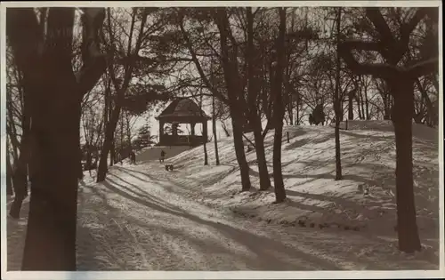 Foto Ak Tallinn Reval Estland, Partie im Stadtpark, Winter