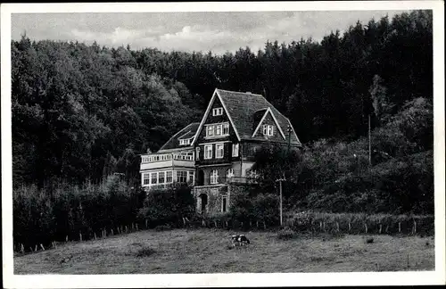 Ak Altenkirchen im Westerwald, Kinderheim d. ev. Gemeinde, Wald