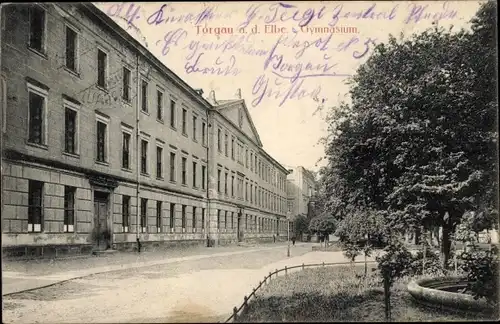 Ak Torgau an der Elbe, Gymnasium