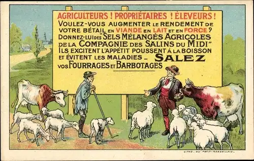 Litho Reklame, Sels Melanges Agricoles de la Compagnie des Salins du Midi, Rinder, Schafe, Hirt