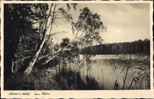 Ak Mirow Mecklenburgische Seenplatte, Am Holm