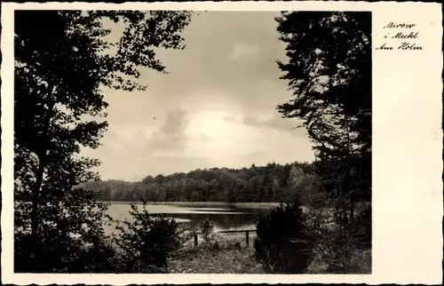 Ak Mirow Mecklenburgische Seenplatte, Am Holm