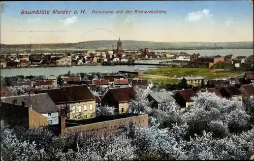 Ak Werder an der Havel, Panorama von der Bismarckshöhe zur Baumblüte