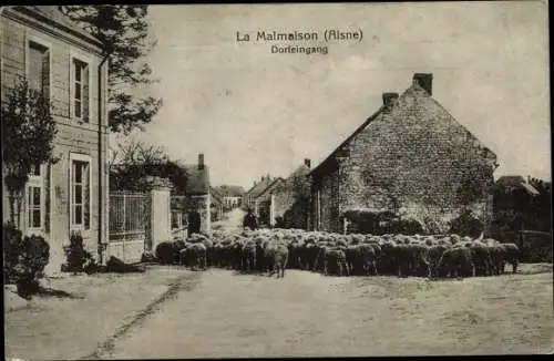 Ak La Malmaison Aisne, Dorfeingang, Schafsherde