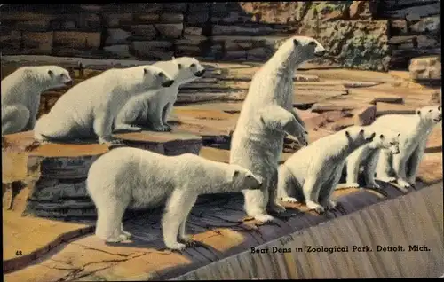 Ak Detroit Michigan USA, Bear Dens in Zoological Park