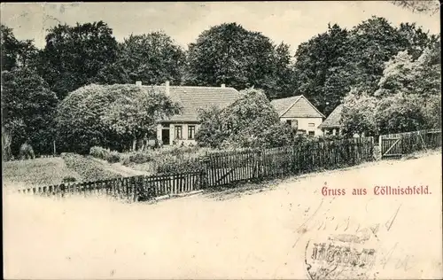 Ak Köllnischfeld Cöllnischfeld Springe am Deister, Blick auf ein Wohnhaus