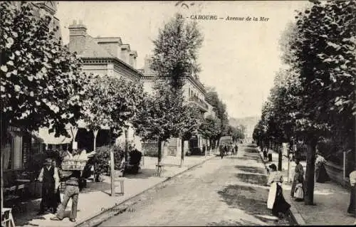 Ak Cabourg Calvados, Avenue de la Mer