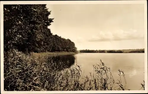 Foto Mirow Mecklenburgische Seenplatte, Am See