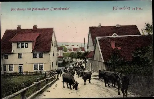 Ak Hahnenklee Bockswiese Goslar im Harz, Dorfstraße mit Damenkapelle, Kuhherde