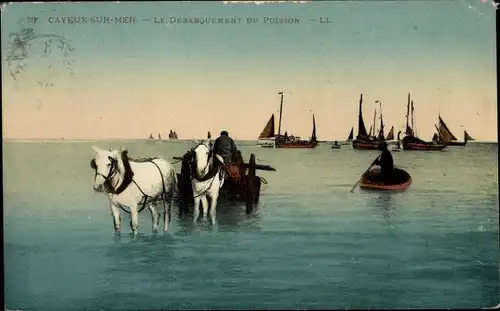 Ak Cayeux sur Mer Somme, Le Debarquement du Poisson