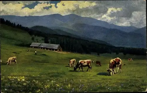 Künstler Ak Hoffmann, H., Kühe auf der Weide, Bergpanorama, Großer Belchen