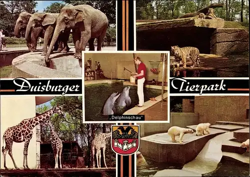 Ak Duisburg im Ruhrgebiet, Tierpark, Delfine, Elefanten, Tiger, Giraffen, Eisbären