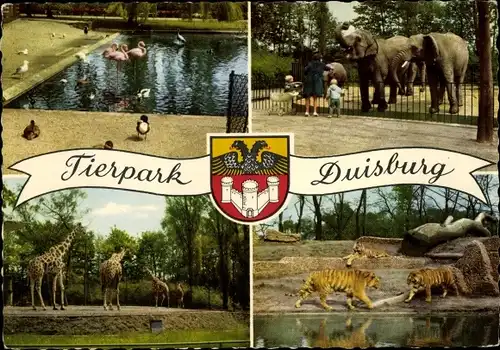 Ak Duisburg im Ruhrgebiet, Tierpark, Elefanten, Tiger, Giraffen, Flamingos