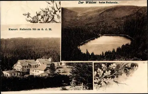 Ak Ruhestein Baiersbronn im Schwarzwald, Wildsee, Blick auf den Ort