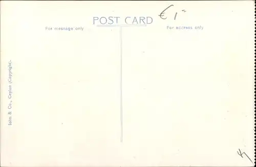 Ak Snake Charmers, Schlangenbeschwörer