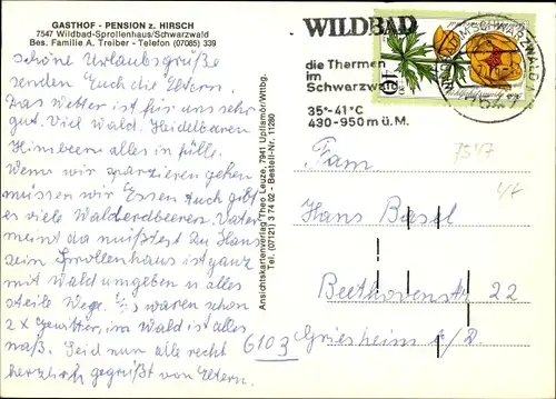 Ak Sprollenhaus Bad Wildbad im Schwarzwald, Gasthof Pension zum Hirsch, Gesamtansicht, Bach