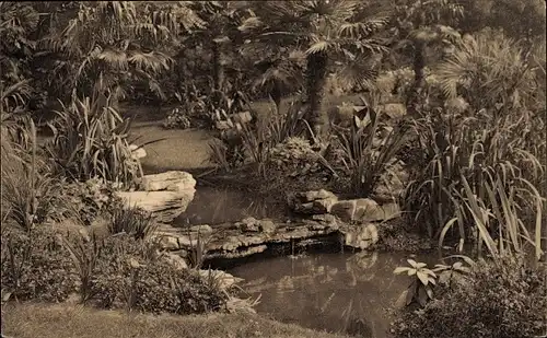 Ak Anvers Antwerpen Flandern, Jardin Zoologique, La Cascade