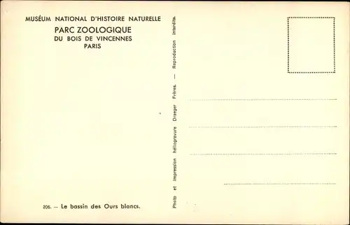 Ak Paris XII, Parc Zoologique du Bois de Vincennes, Le bassin des Ours blancs