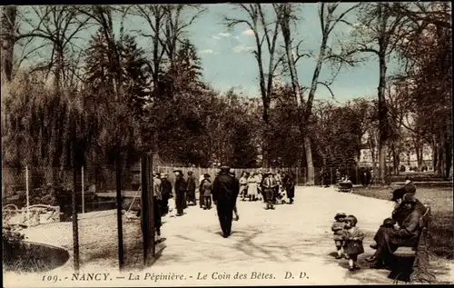 Ak Nancy Meurthe et Moselle, La Pepiniere, Le Coin des Betes