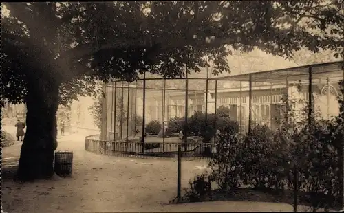 Ak Anvers Antwerpen Flandern, Jardin Zoologique, Voliere des Paons